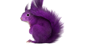 Sales Hiring = Purple Squirrel
